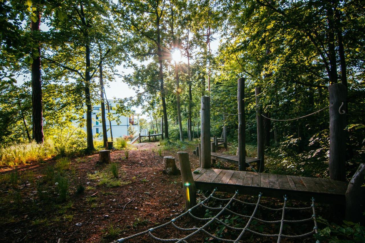 Oasis Appart - Wohnen Im Koenigspark - Elbhang Dresden - Grosse Terrasse - Netflix - Tg Eksteriør bilde