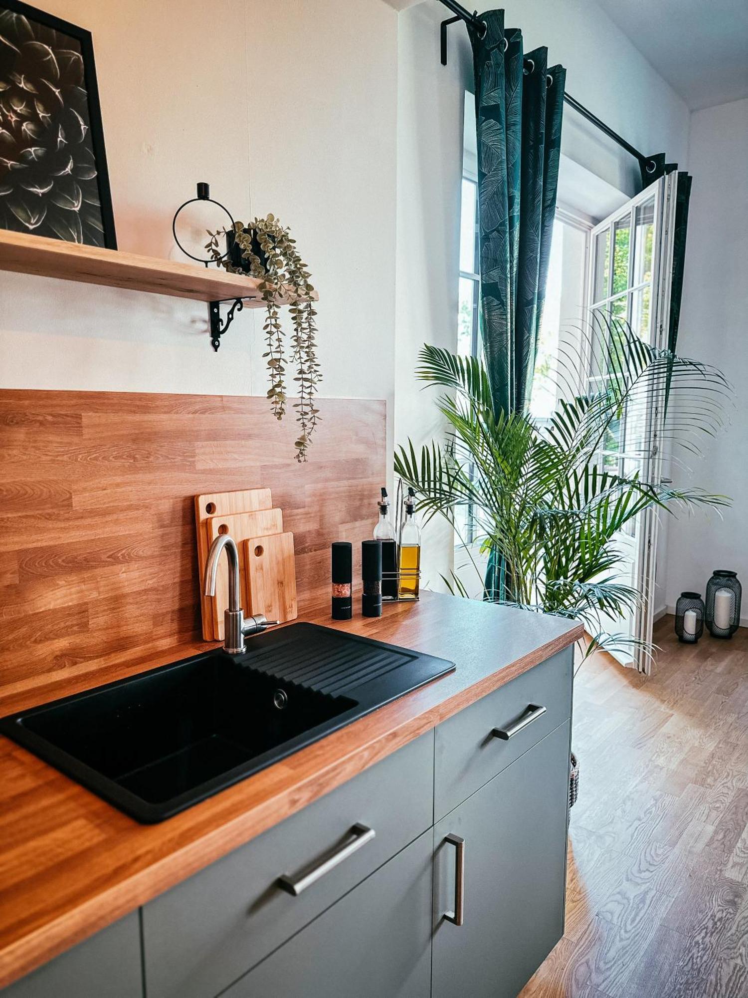 Oasis Appart - Wohnen Im Koenigspark - Elbhang Dresden - Grosse Terrasse - Netflix - Tg Eksteriør bilde
